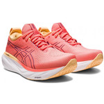 Asics Gel-Nimbus 25 Women&#039;s 1012b356-700