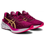 Asics Novablast 2 W 1012B049_600